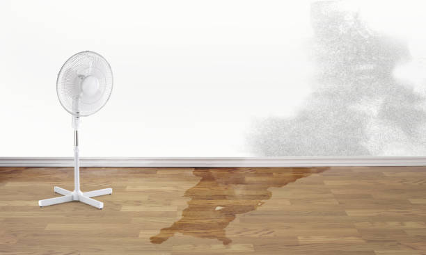  Beaverton, OR Water damage restoration Pros