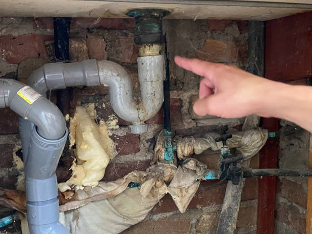 Best Water damage contractors near me  in Beaverton, OR