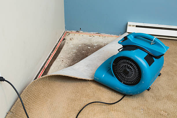 Best Water damage cleanup near me  in Beaverton, OR